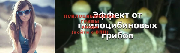 первитин Абаза