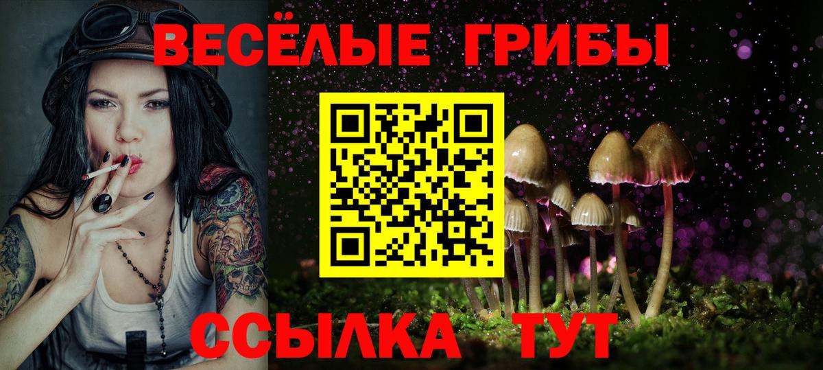Галлюциногенные грибы GOLDEN TEACHER  Галлюциногенные грибы Magic Shrooms  Вход с VPN  Одинцово 