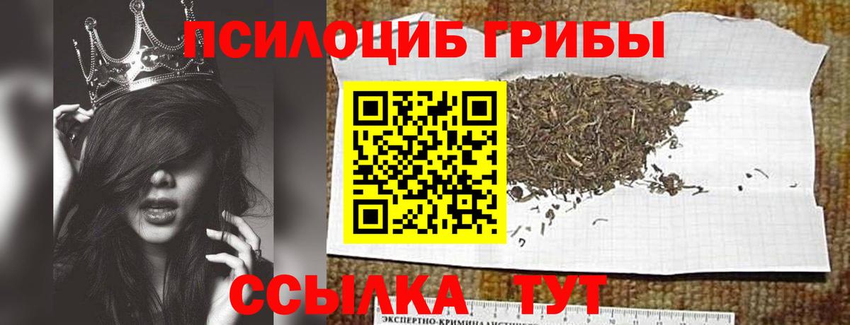 Галлюциногенные грибы GOLDEN TEACHER Одинцово