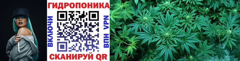 Каннабис планчик  купить  сайты  Одинцово 